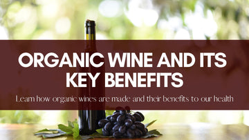 Organic Wine and Its Key Benefits