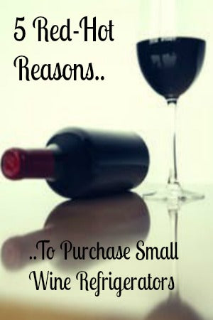 5 Red-Hot Reasons To Purchase Small Wine Refrigerators