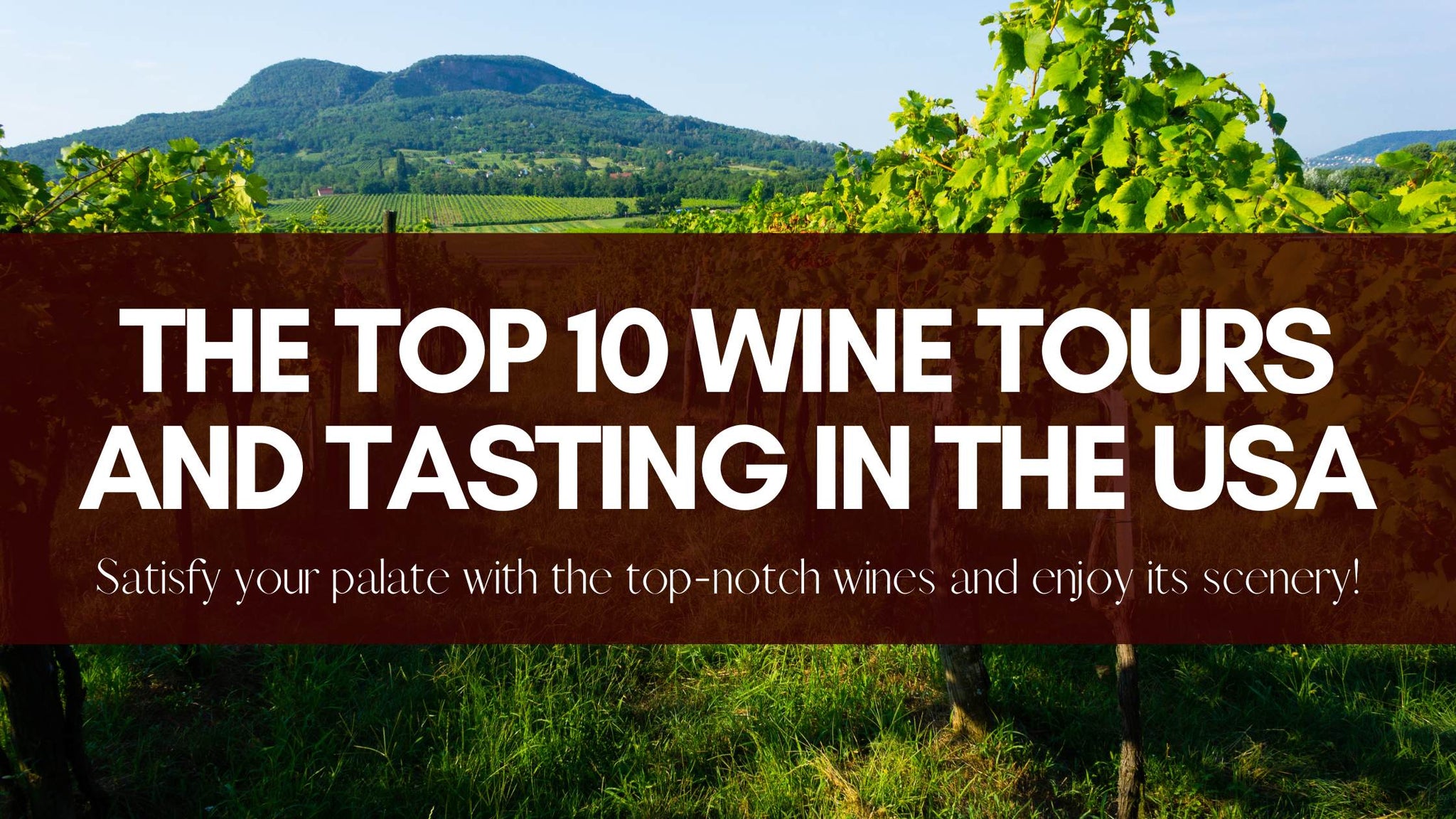 The Top 10 Wine Tours and Tasting in the USA